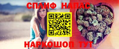 сатива Кулебаки