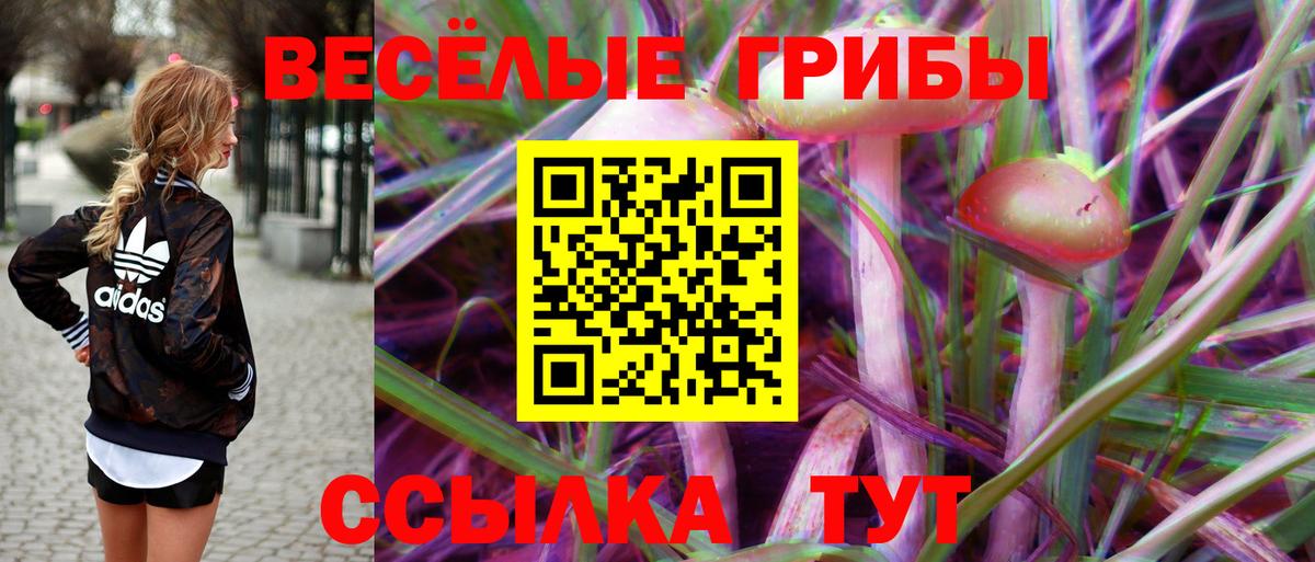 Псилоцибиновые грибы ЛСД Заволжье
