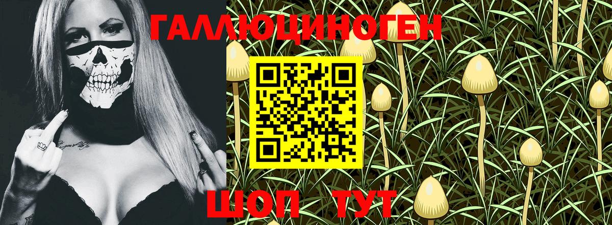 Заволжье  Галлюциногенные грибы GOLDEN TEACHER  Вход с VPN 